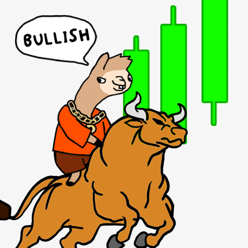 BULLSZN